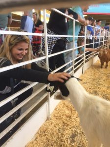 Friendly petting zoo fun